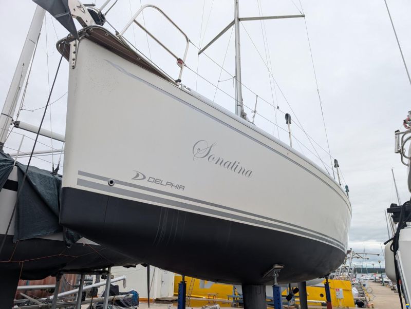Delphia 31