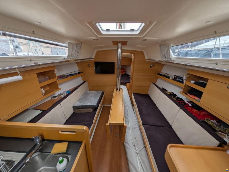 Delphia 31
