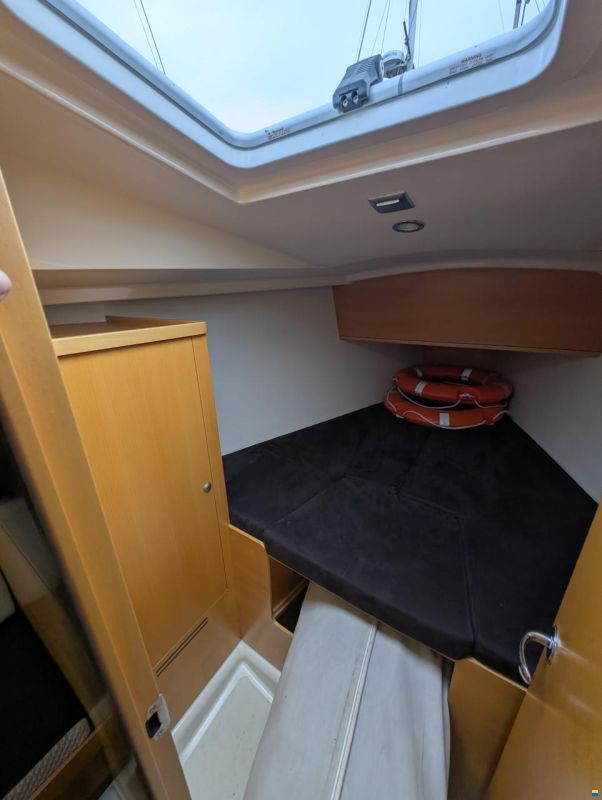 Delphia 31