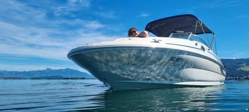 Sea Ray 240 Sundeck
