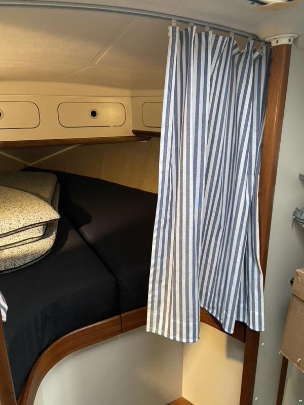 Dehler 36 CWS top