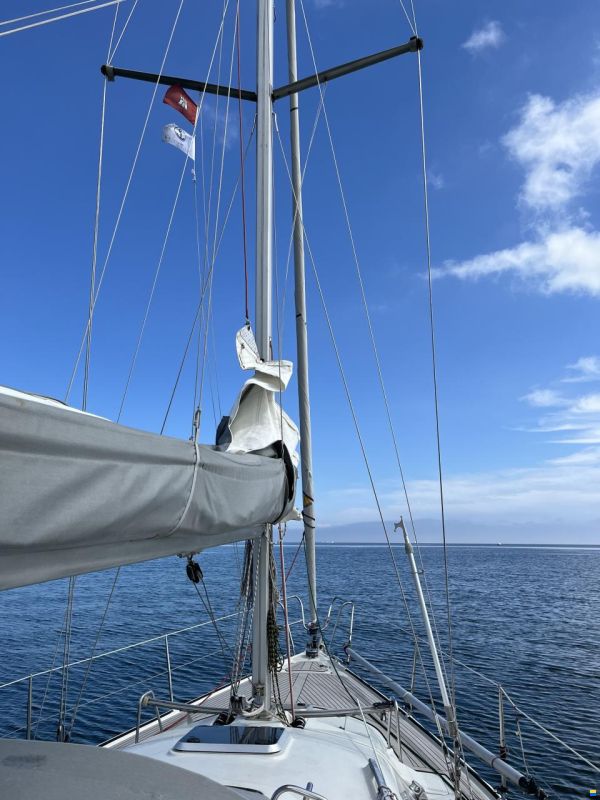 Dehler 36 CWS top
