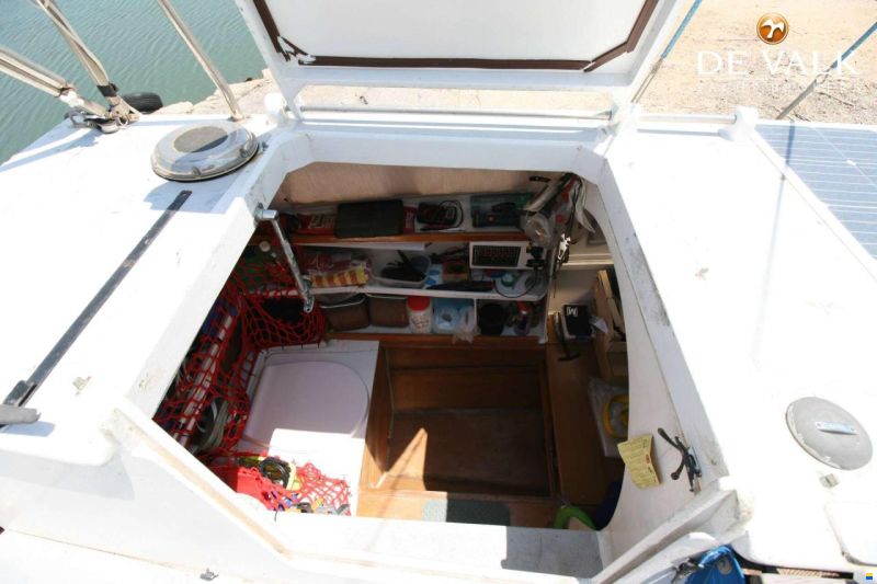 Wharram Tiki 30