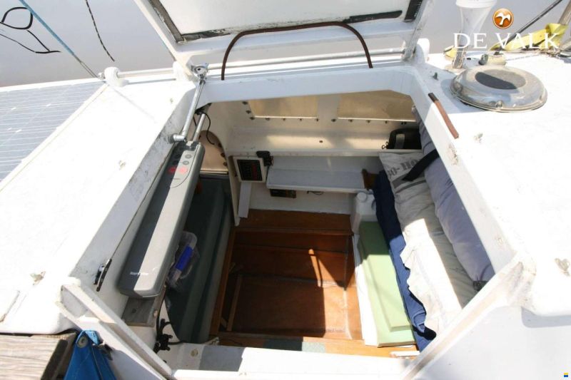 Wharram Tiki 30