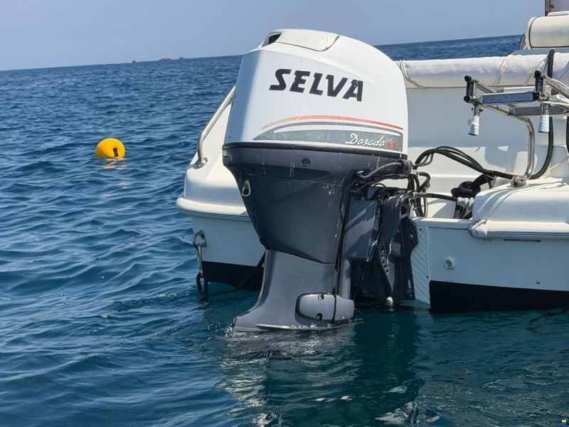 Selva 5.5
