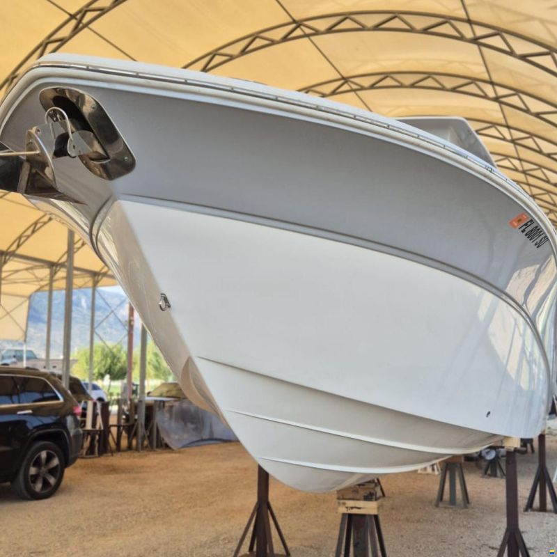 Sea Fox 288 commander