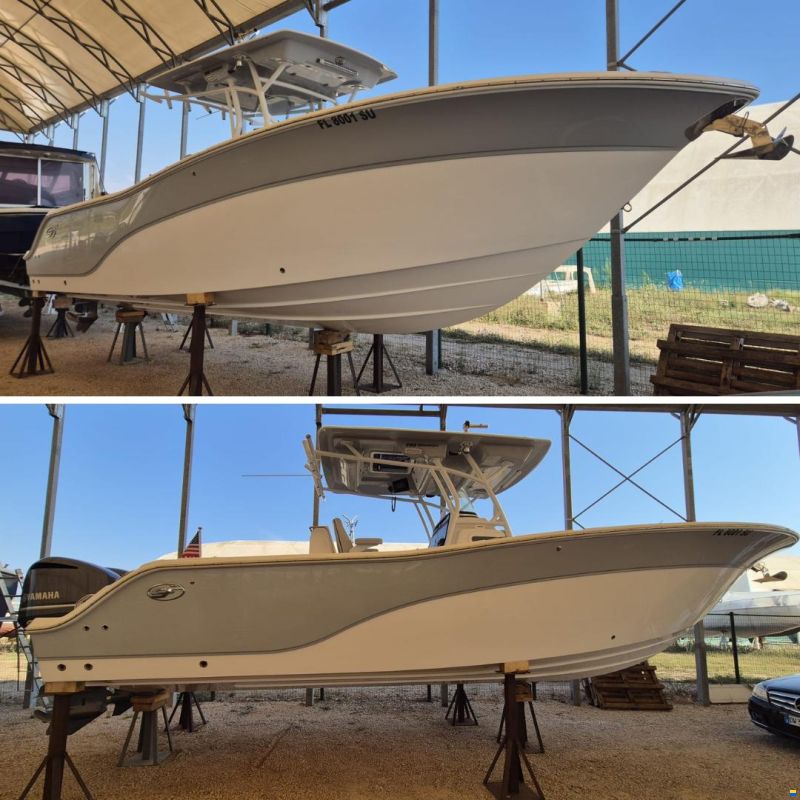 Sea Fox 288 commander