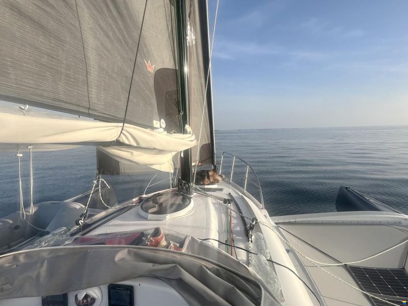 Dragonfly 28 Performance