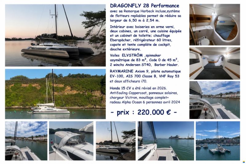 Dragonfly 28 Performance