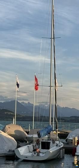 Bluboats blu26