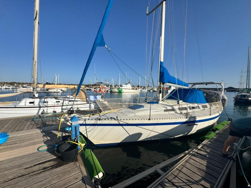Furia 37