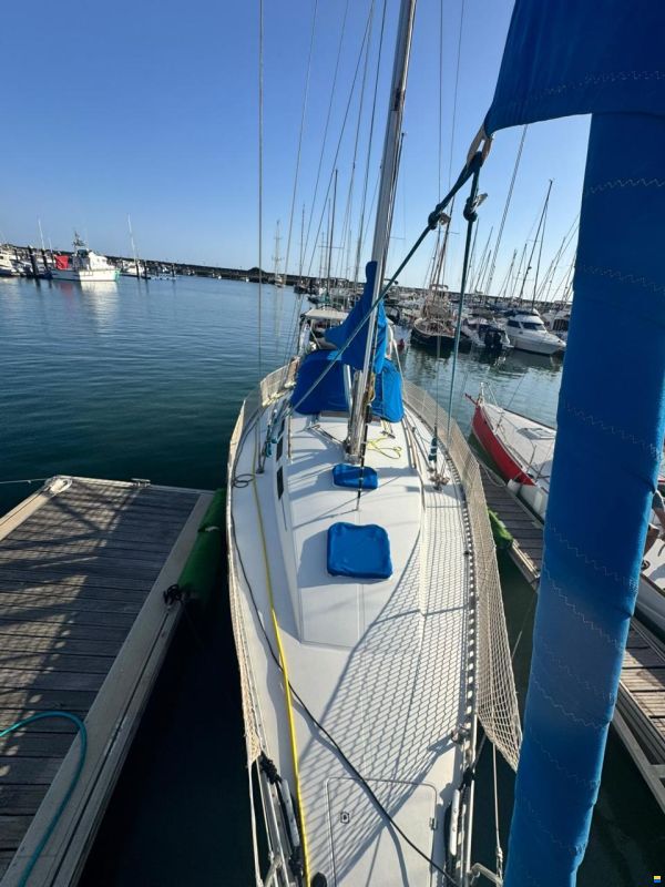 Furia 37