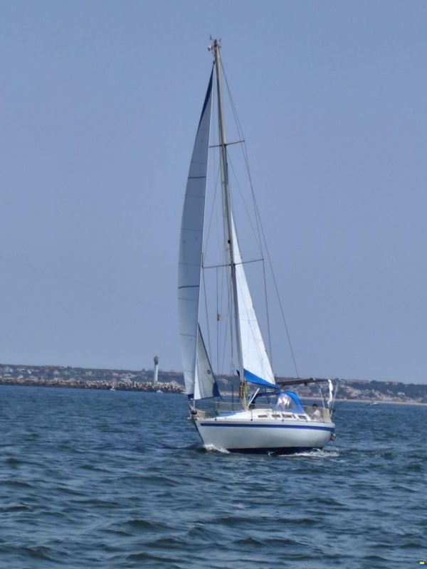Furia 37