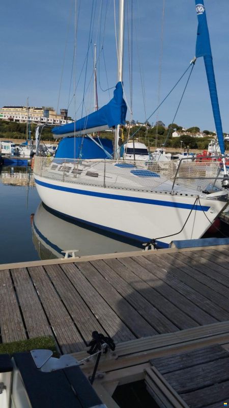 Furia 37
