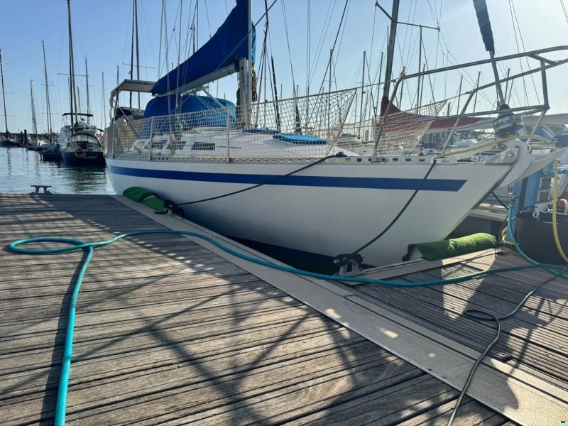 Furia 37
