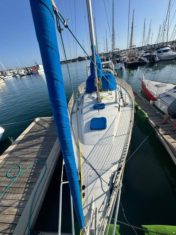Furia 37