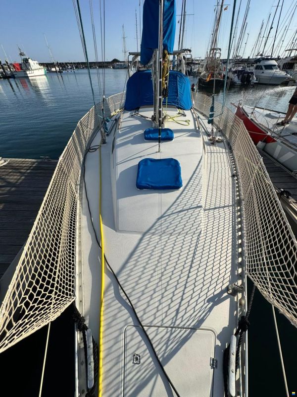 Furia 37