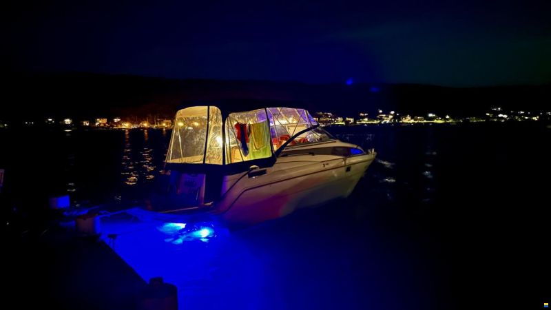 Bayliner DC 2655