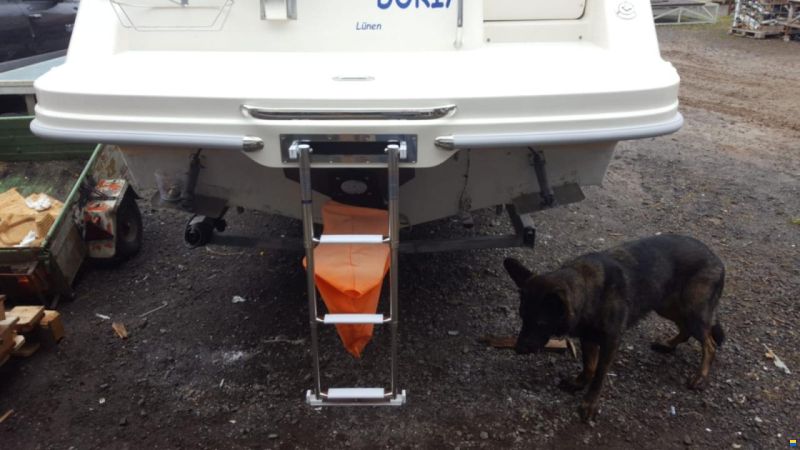Bayliner DC 2655