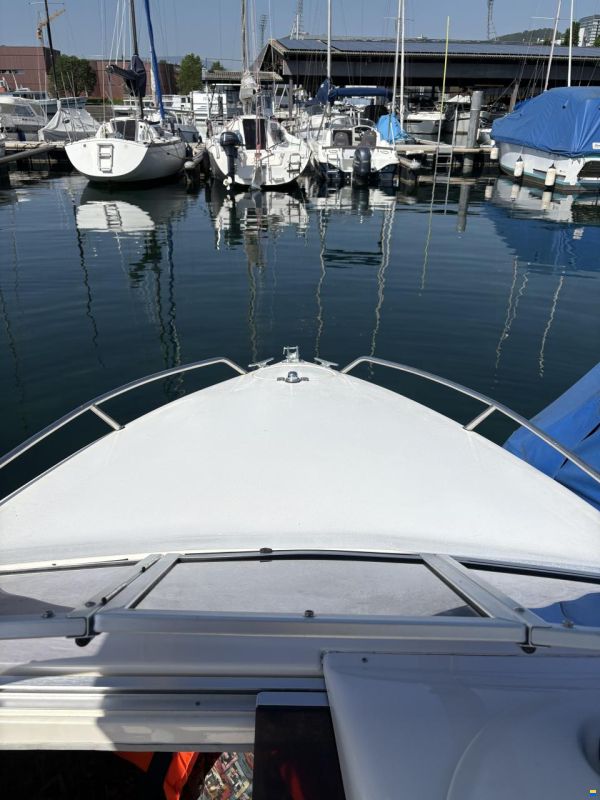 Fletcher Arrowbolt 20