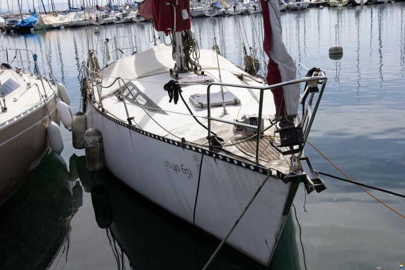 Grisbi 36