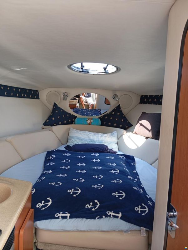 Crownline 280cr