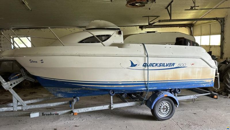 Quicksilver 500