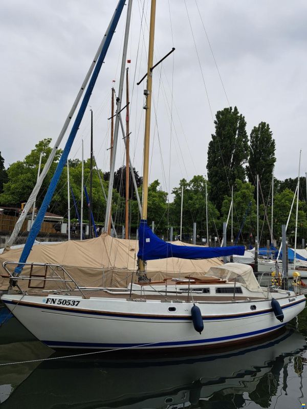 Deerberg Saphir 3