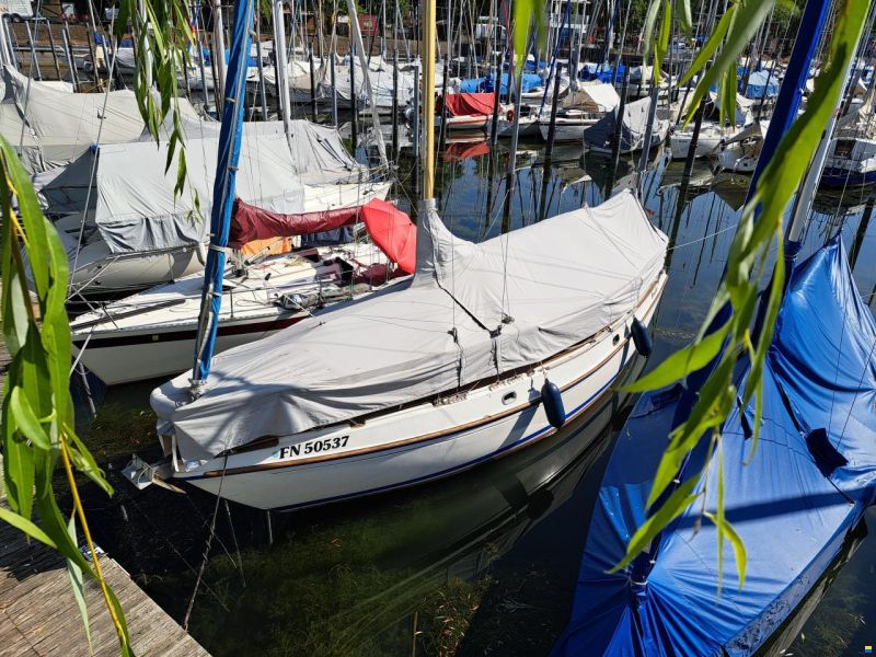 Deerberg Saphir 3