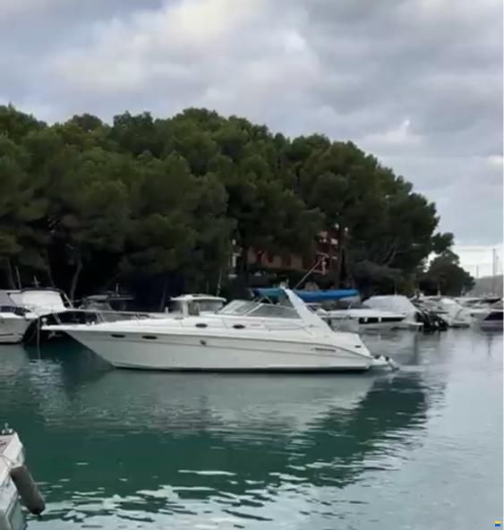 Sea Ray 330 Sundancer