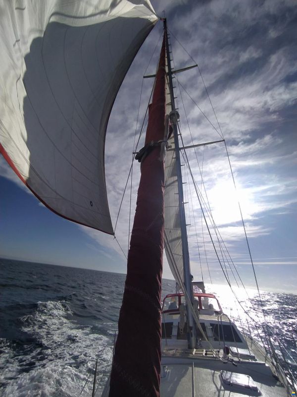 Reinke 15M Expedition