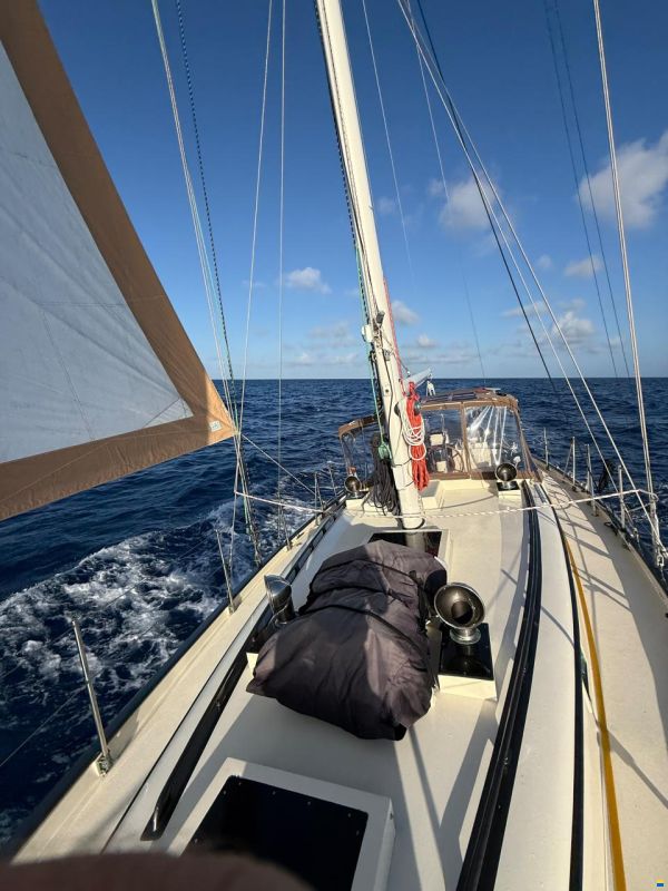 51' Doug Peterson Offshore Cruiser