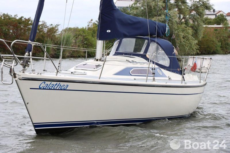 Dehler 34 Schepenkring LelystadIMG_3471.JPG