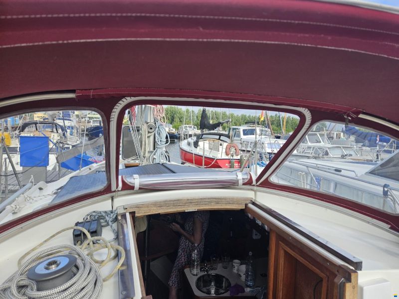 de Kloet Midget 31