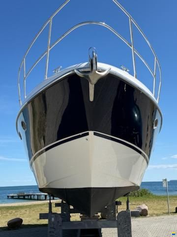 Absolute 41