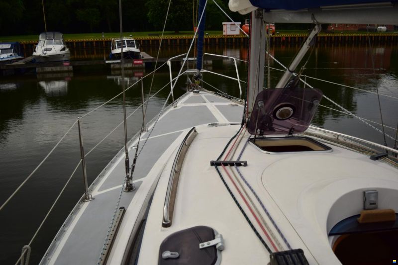 Tango 30