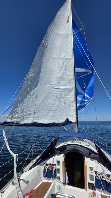 Tango 30