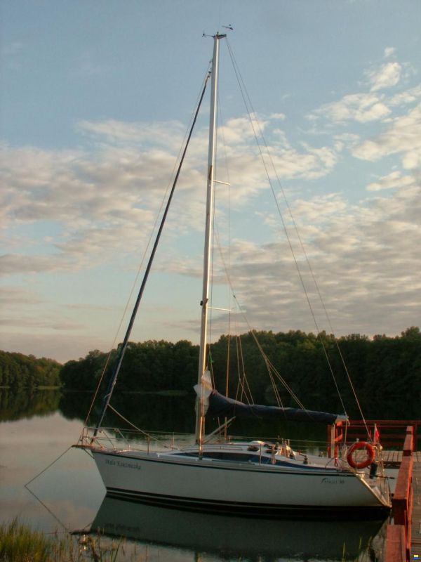 Tango 30