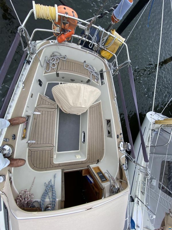 Bianca 36