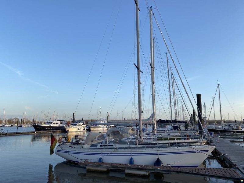 Bianca 36
