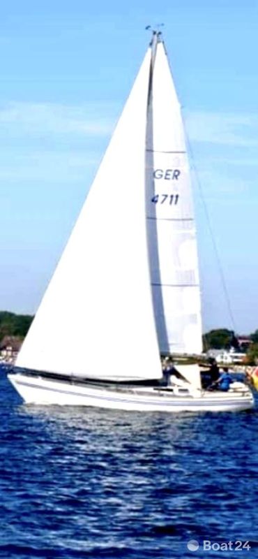 Bianca 36