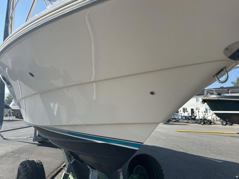Windy 33 Mistral
