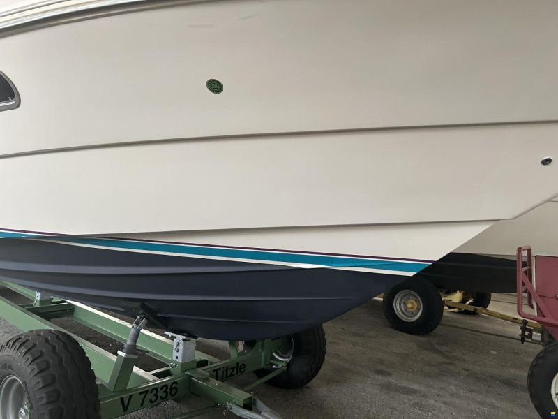 Windy 33 Mistral