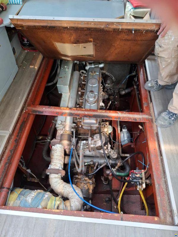 Palma 53