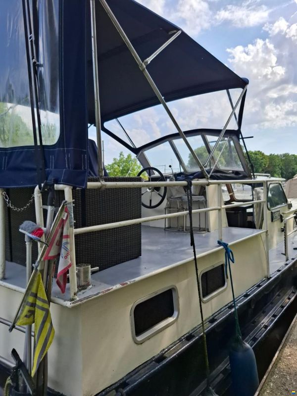 Palma 53