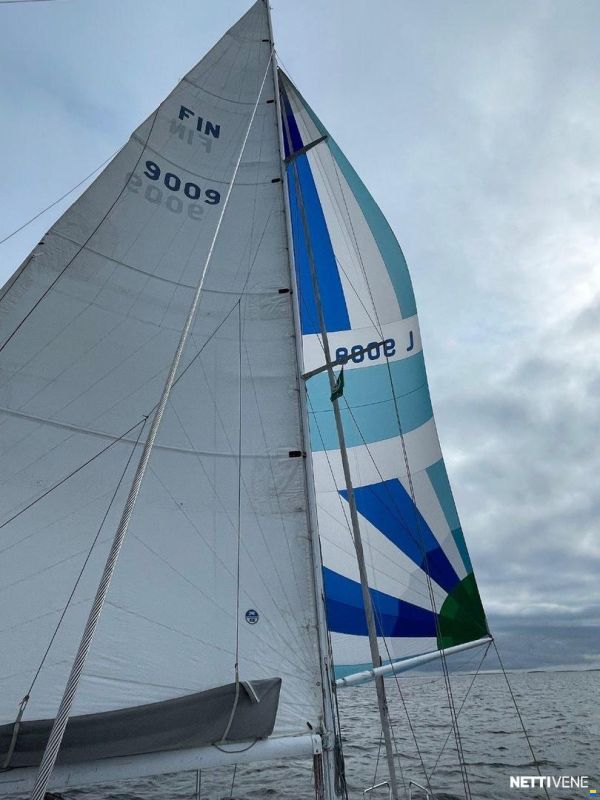 Finngulf 36