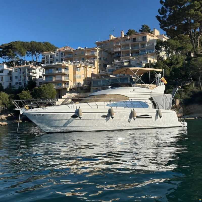 Astondoa 394