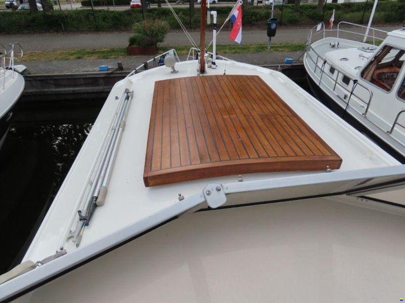 Palma 40