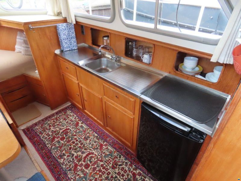 Palma 40