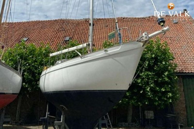 Tradewind 35